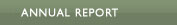 Annual Report