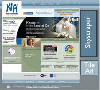 Sample of skyscraper ad placement on nhptv.org homepage