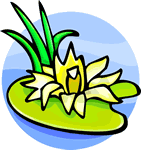 Lilypad