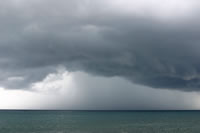 Rain