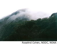 Costa Rica, Rainforest