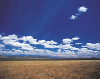 Asian Steppe