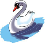 swan