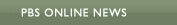 PBS Online News