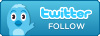 Follow Us On Twitter!
