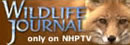 Wildlife Journal