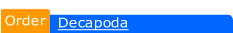 decapoda