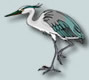 heron