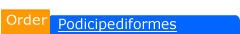 Podicipediformes