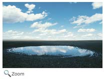 Prairie Pothole