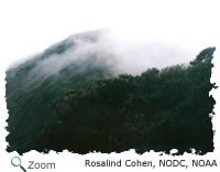 Costa Rica, Rainforest
