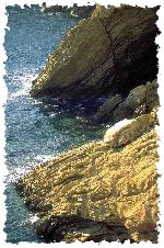 Shore