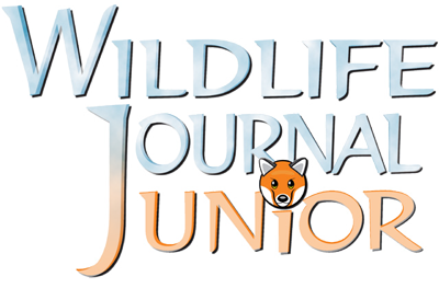 Wildlife Journal Junior!
